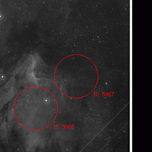 DSS image of IC 5067
