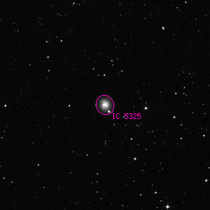 DSS image of IC 5325