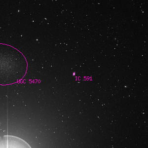 DSS image of IC 591