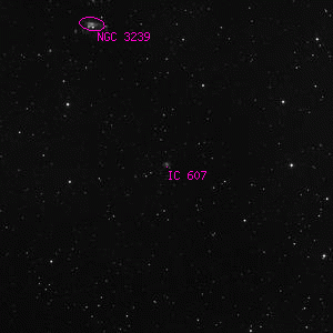 DSS image of IC 607