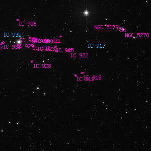 DSS image of IC 919