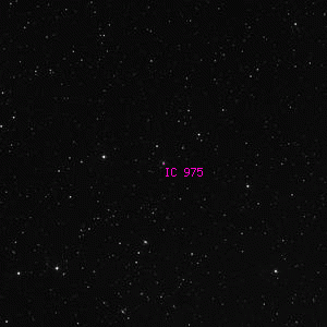 DSS image of IC 975