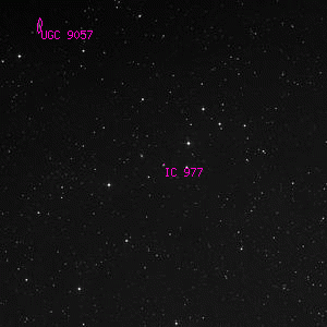 DSS image of IC 977