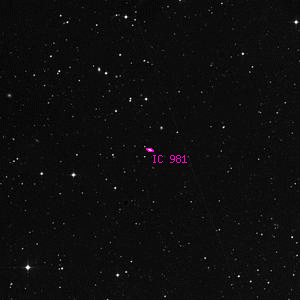 DSS image of IC 981