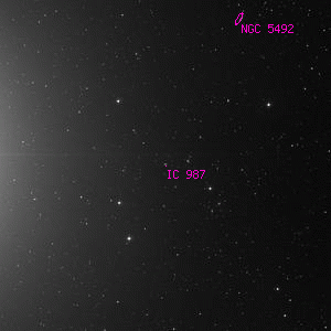 DSS image of IC 987