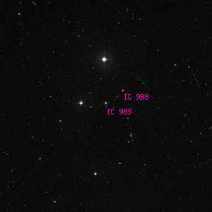 DSS image of IC 989
