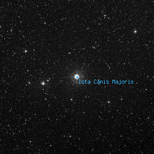 DSS image of Iota Canis Majoris