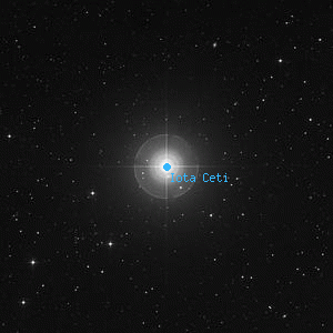 DSS image of Iota Ceti