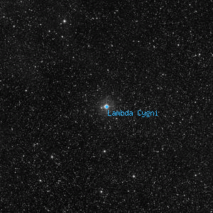 DSS image of Lambda Cygni