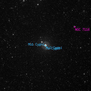DSS image of Mu2 Cygni