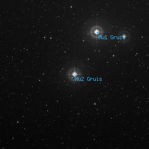 DSS image of Mu2 Gruis