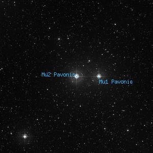 DSS image of Mu2 Pavonis