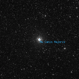 DSS image of Mu Canis Majoris