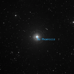 DSS image of Mu Phoenicis