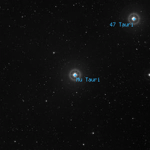 DSS image of Mu Tauri