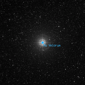 DSS image of Mu Velorum