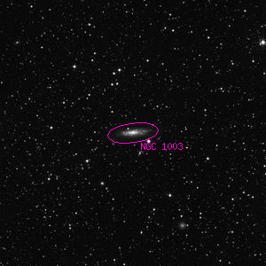 DSS image of NGC 1003