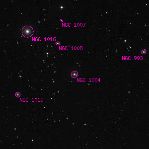 DSS image of NGC 1004