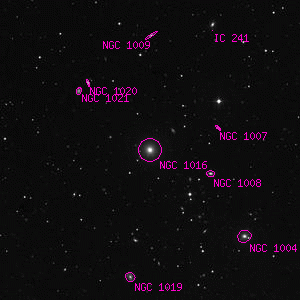 DSS image of NGC 1016