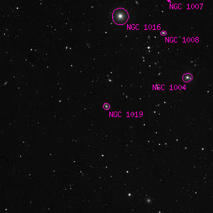DSS image of NGC 1019