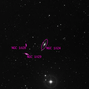 DSS image of NGC 1024