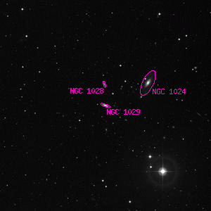 DSS image of NGC 1029