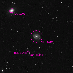 DSS image of NGC 1042