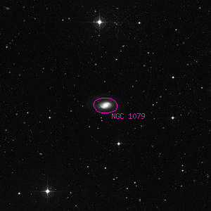 DSS image of NGC 1079