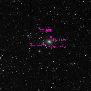 DSS image of NGC 1131