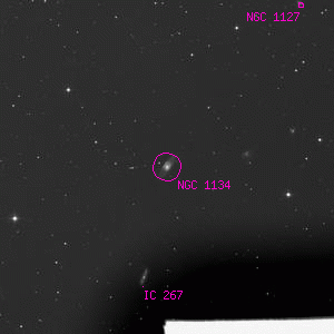 DSS image of NGC 1134
