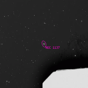 DSS image of NGC 1137