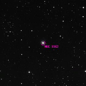 DSS image of NGC 1162