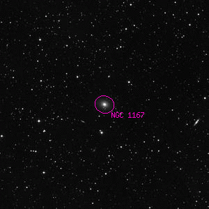 DSS image of NGC 1167