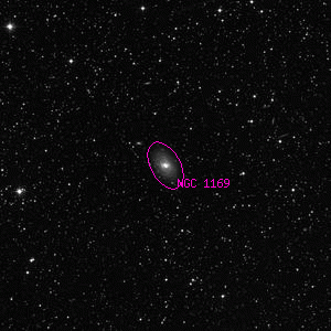DSS image of NGC 1169