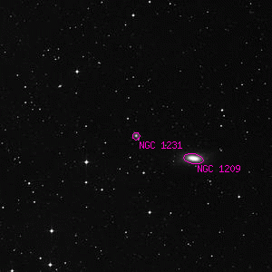 DSS image of NGC 1231
