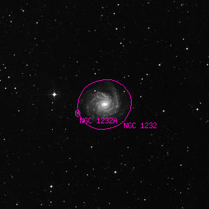 DSS image of NGC 1232