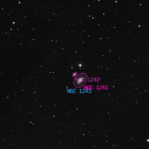 DSS image of NGC 1242