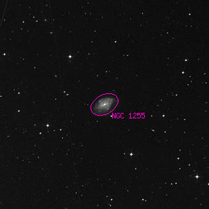 DSS image of NGC 1255