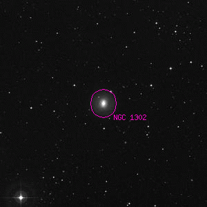 DSS image of NGC 1302