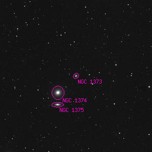 DSS image of NGC 1373
