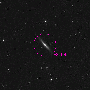 DSS image of NGC 1448