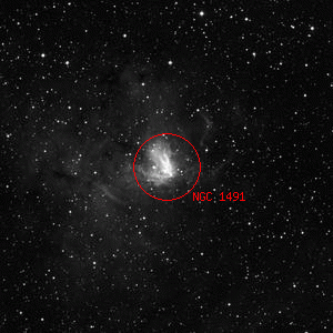DSS image of NGC 1491