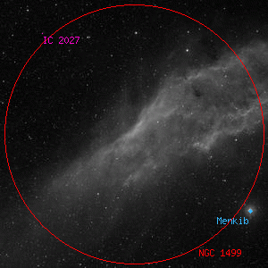 DSS image of NGC 1499