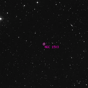 DSS image of NGC 1503