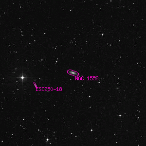 DSS image of NGC 1558