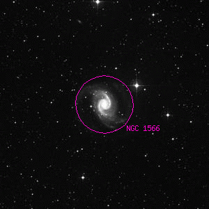 DSS image of NGC 1566
