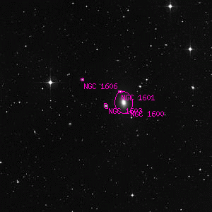 DSS image of NGC 1603