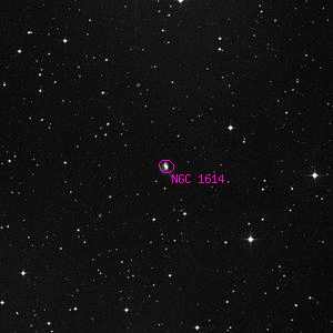 DSS image of NGC 1614