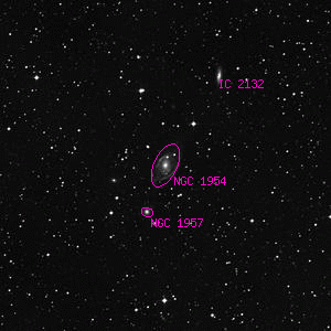 DSS image of NGC 1954