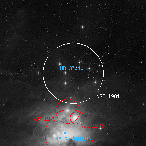 DSS image of NGC 1981